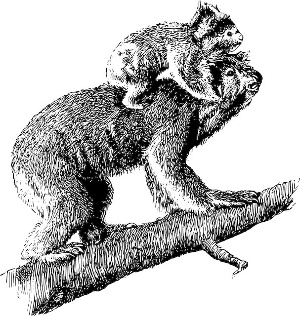 キャブ @kabuakadayo0 tweet media