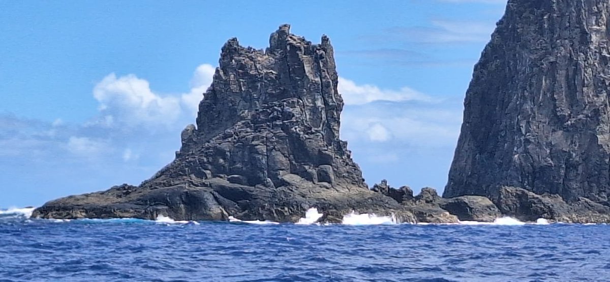 Cogita Tuti 🐊 tweet media