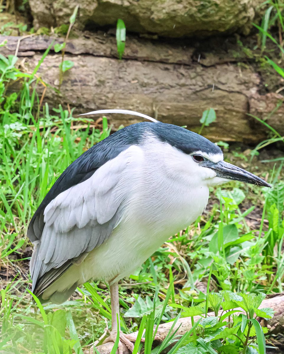 Marc Hunt tweet media