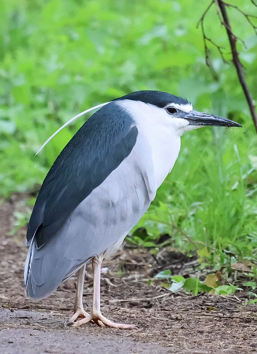 Marc Hunt tweet media