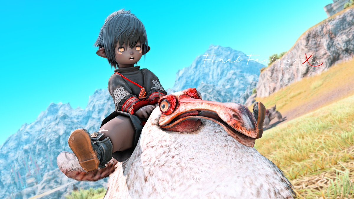 ヒカセンのはむ tweet media