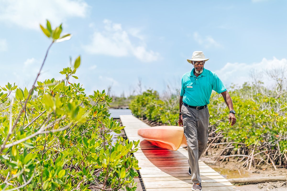 VisitGBI's tweet photo. Less scrolling. More strolling (or paddling)

🔌Looking to #unplug? Trade your screen-time for serenity &amp; winding mangrove trails at the Lucayan National Park while giving back.

Every tour helps Mission For Mangroves restore the coastal forests that protect our shores🌱#lovegbi https://t.co/bSmrUU1Bwt
