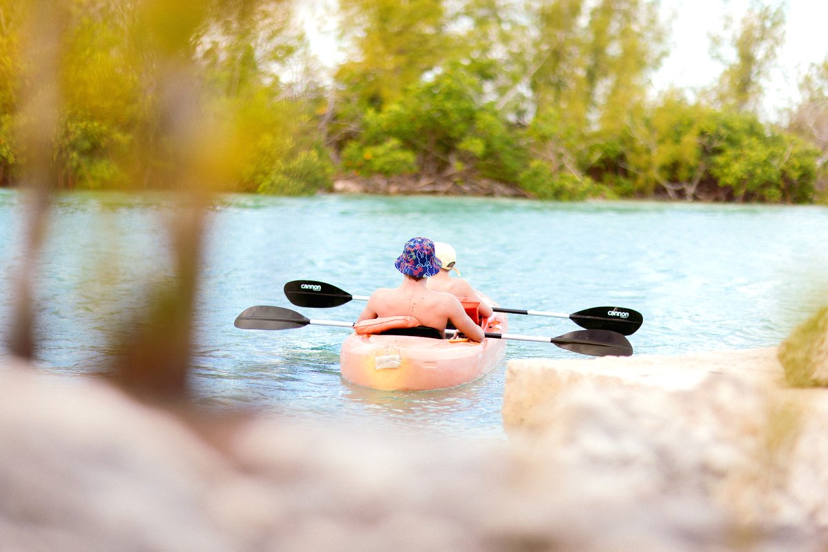 VisitGBI's tweet photo. Less scrolling. More strolling (or paddling)

🔌Looking to #unplug? Trade your screen-time for serenity &amp; winding mangrove trails at the Lucayan National Park while giving back.

Every tour helps Mission For Mangroves restore the coastal forests that protect our shores🌱#lovegbi https://t.co/bSmrUU1Bwt