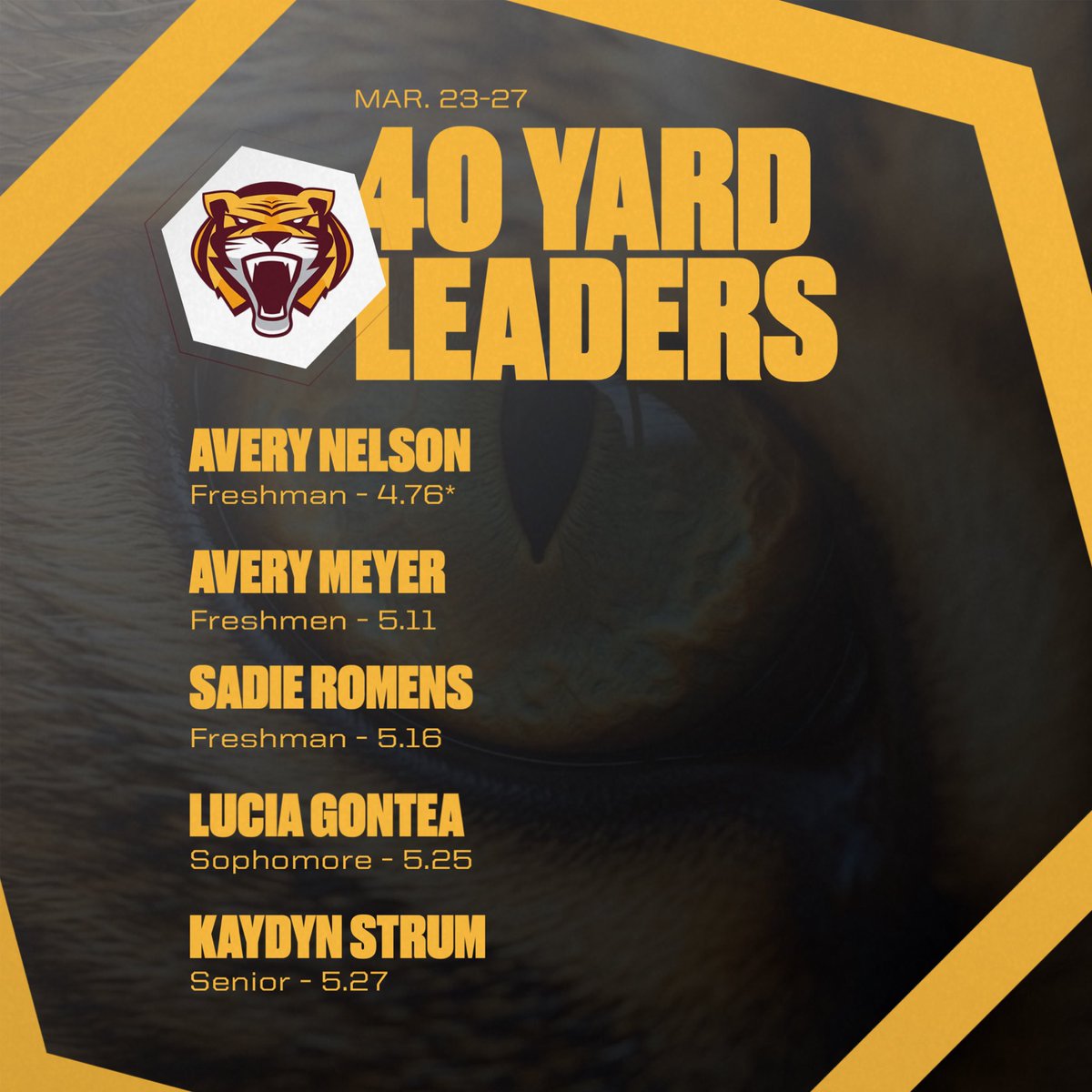 Brandon Hoth tweet media