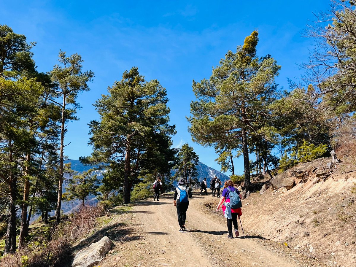 KitabeviPatika's tweet photo. Patika Yürüyüş Kulübü 
29 Mart Pazar
Nigala &amp; Sinkot &amp; Kuvarshan Yürüyüşü

"hüzün: hep bilinir
bir afyon çiçeğidir önceleri
dalayan bir ısırgan yoncası olur sonra
dalayan ve uyandıran o afyon uykusundan" https://t.co/Q4ChWUbE9q