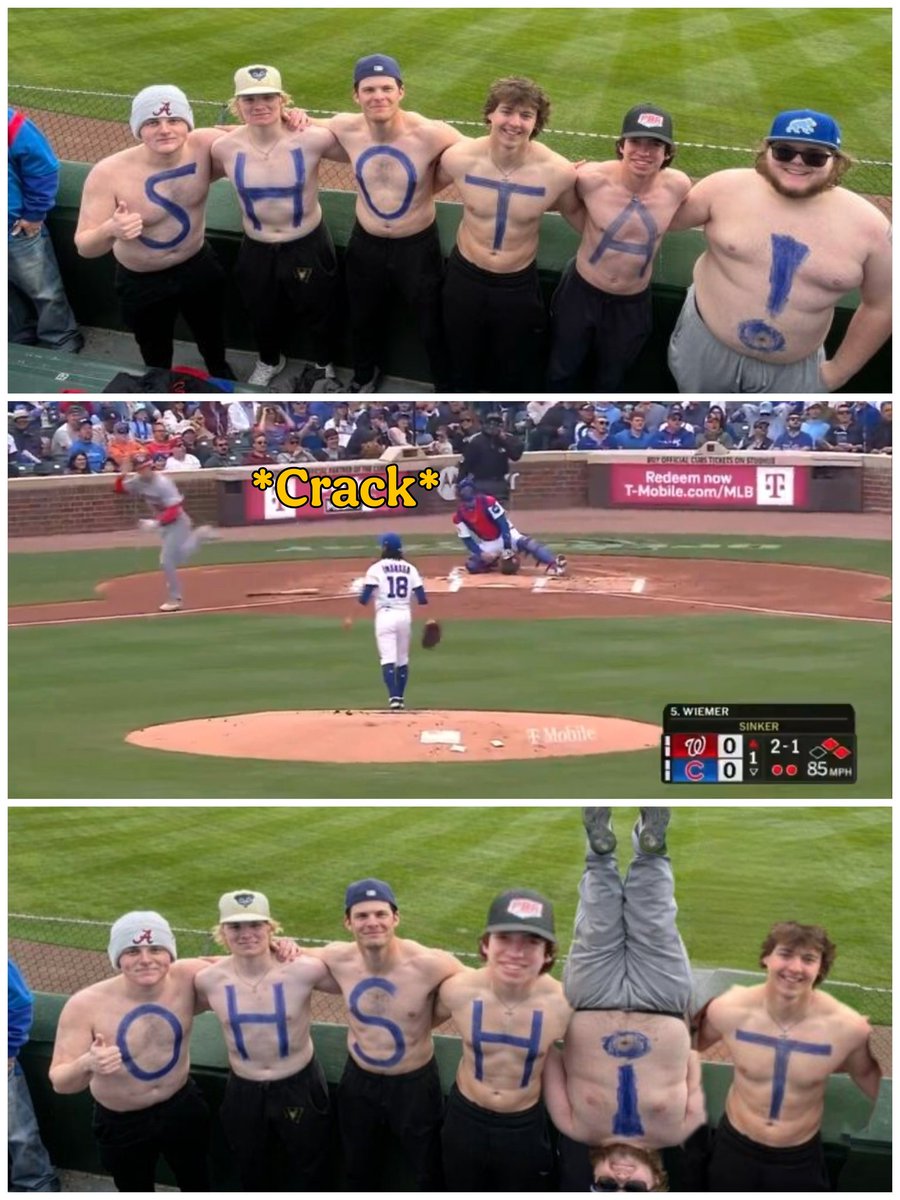 Cubs Memes tweet media