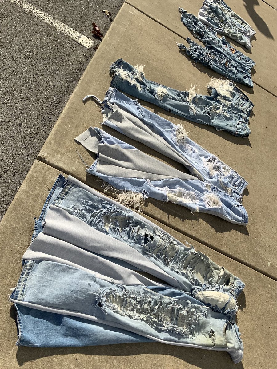 bull in a china shop tweet media