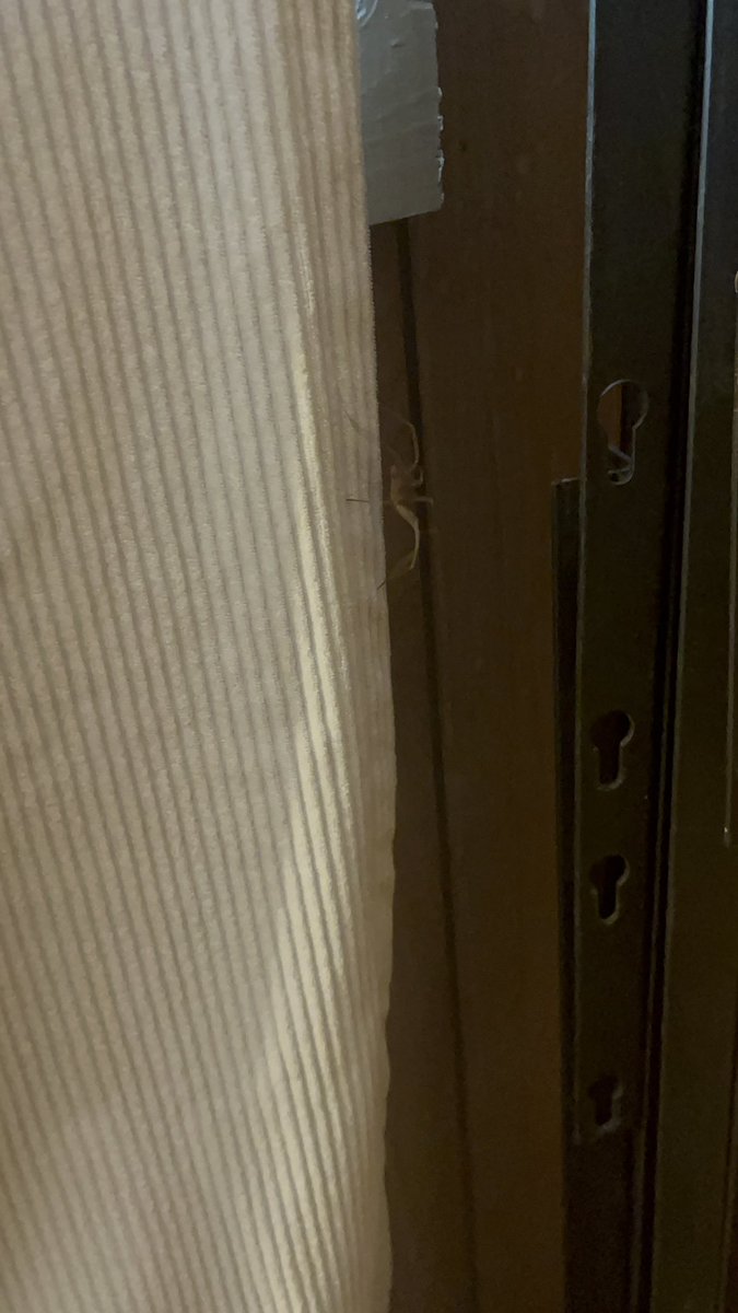 Set🦇MCR 9/12 tweet media