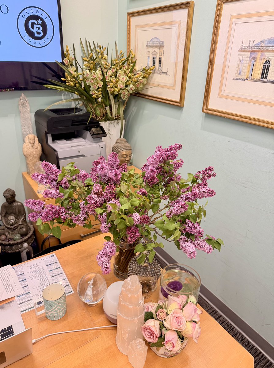Christophechoo's tweet image. Nothing beats the first fragrant lilacs of the season from the Beverly Hills Farmers Market. 🌸
On my desk today for a hit of natural stress relief. Lilacs symbolize renewal and confidence—exactly the energy needed for a productive week. ✨
#LilacSeason #BeverlyHills #Workplace