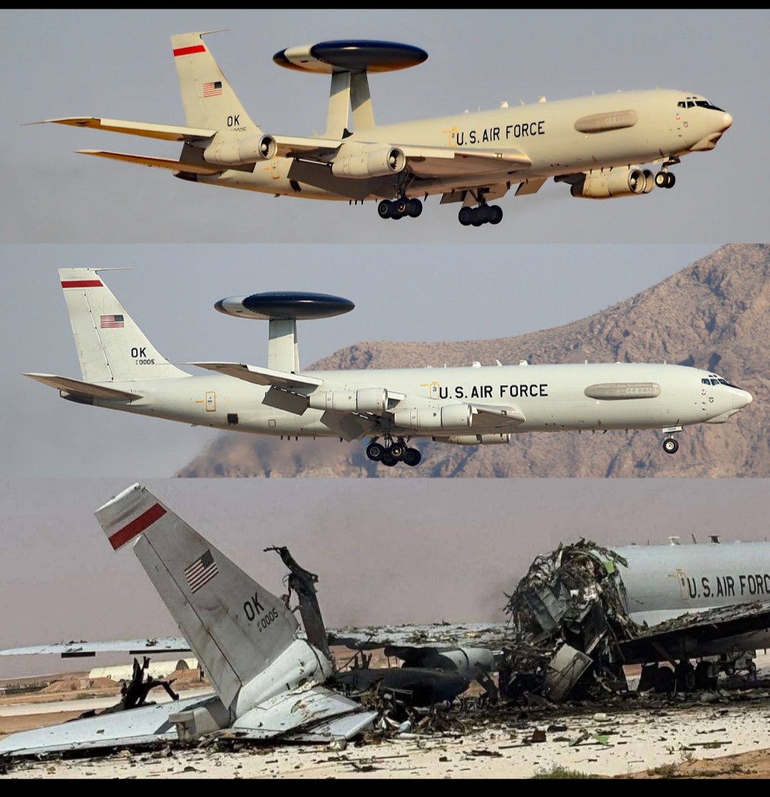 snapsorg tweet media