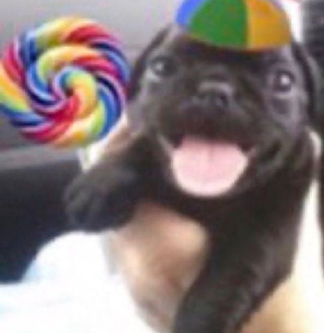 suzi 🇧🇷 tweet media