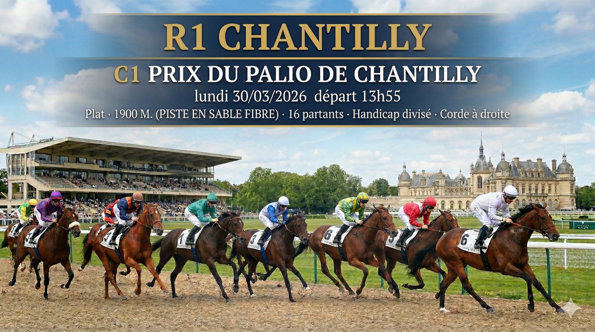 Le défi quotidien tweet media