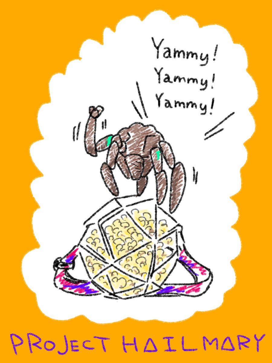 ねぎとろっく🍣 tweet media