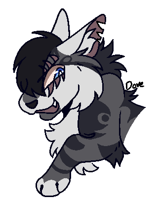 Dovesong tweet media