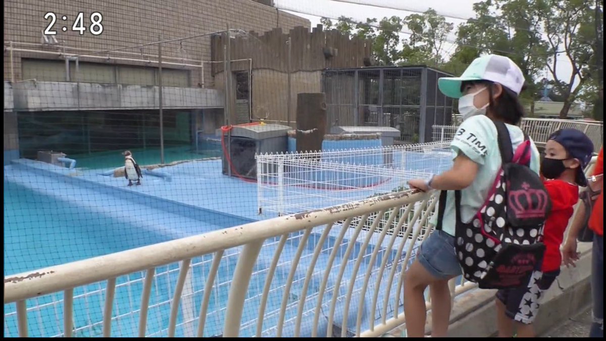 くらら tweet media