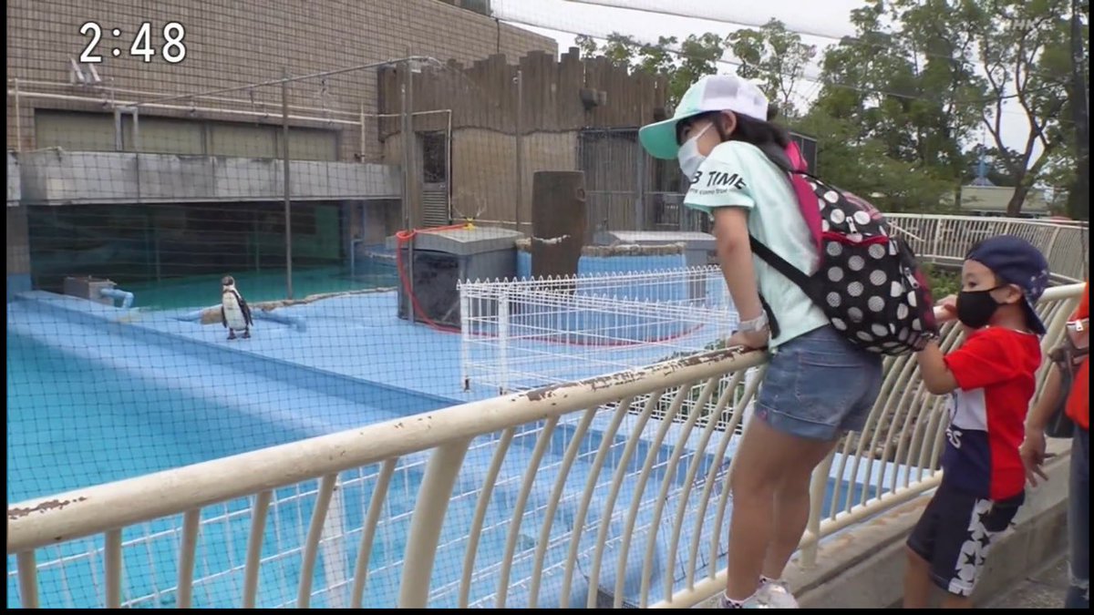 くらら tweet media