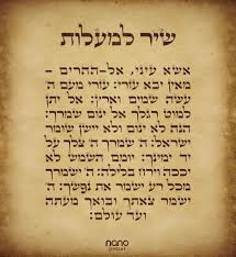 נתינה של משמרות המהפכה.🇮🇱💙🤍 tweet media