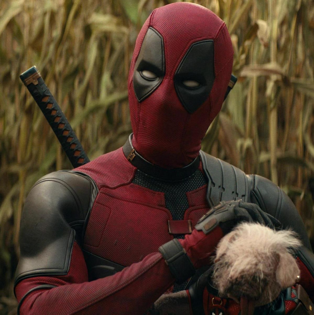 𝒥𝒶𝓎 ⋆˙⟡ 🪐 tweet media