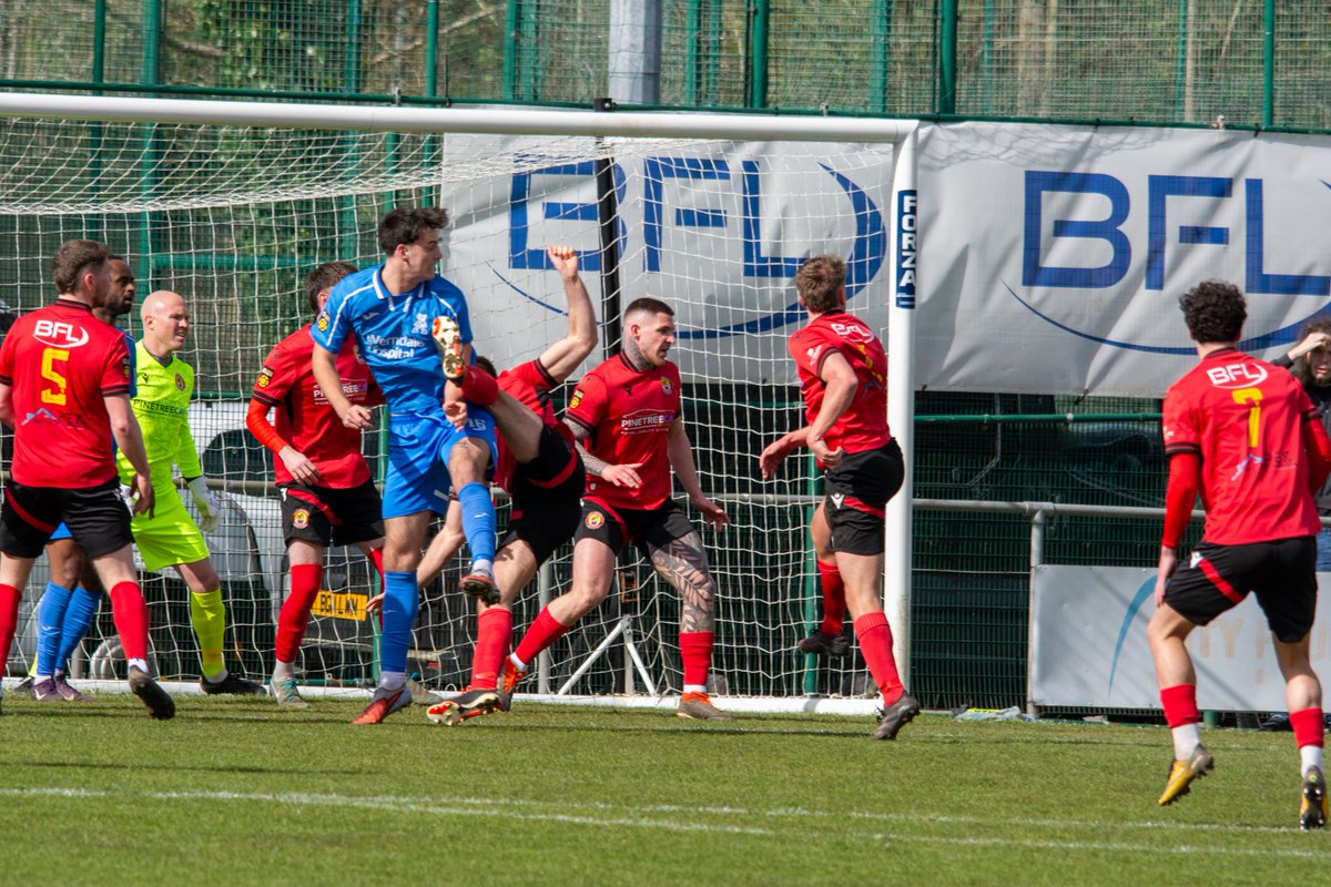 dylan tutton tweet media