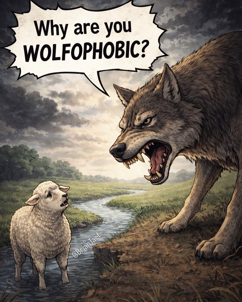 Sean 🇮🇷 tweet media