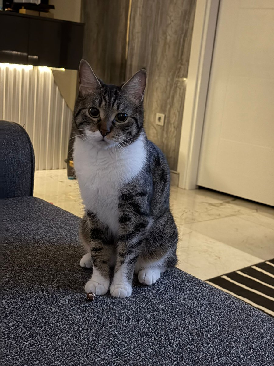 gülsevin tweet media