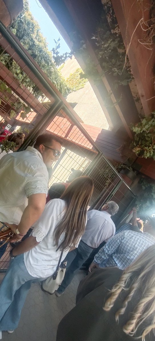 ROBIN HOOD tweet media