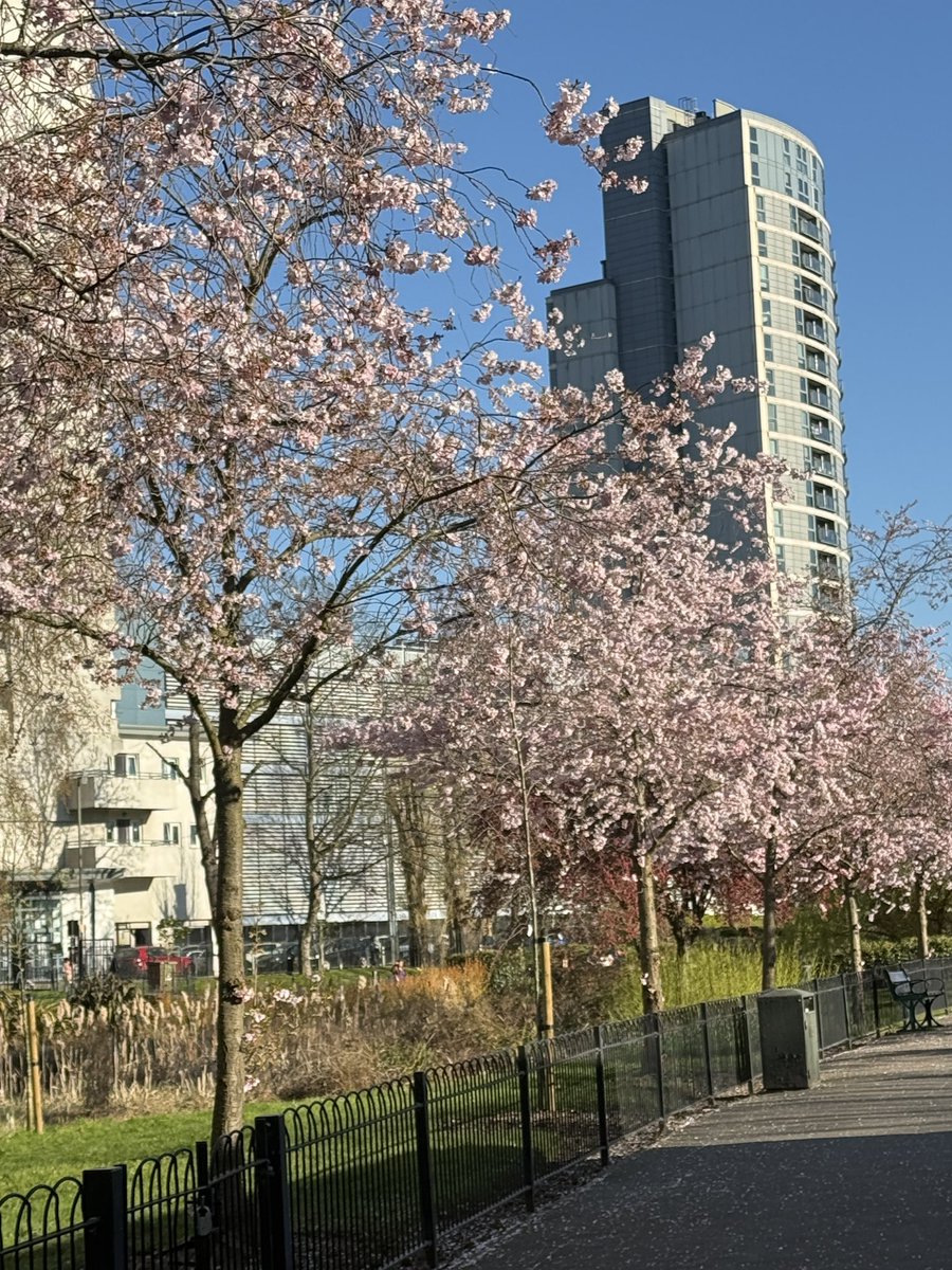 MICHAEL KAISER ON GRINDR tweet media