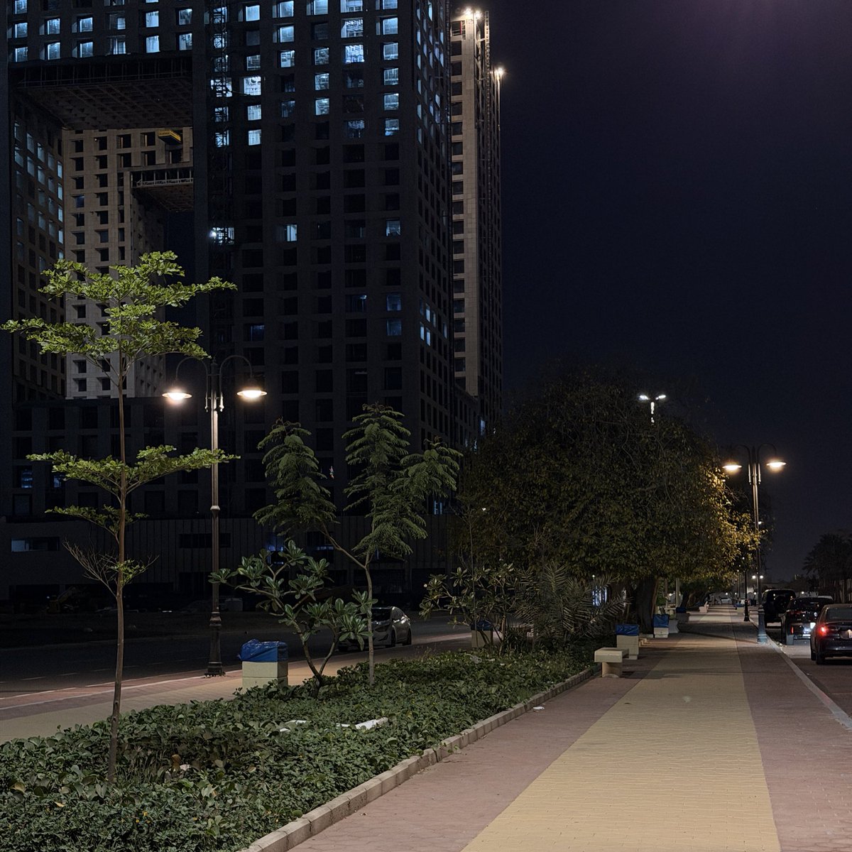 Layan Al-Meteb tweet media