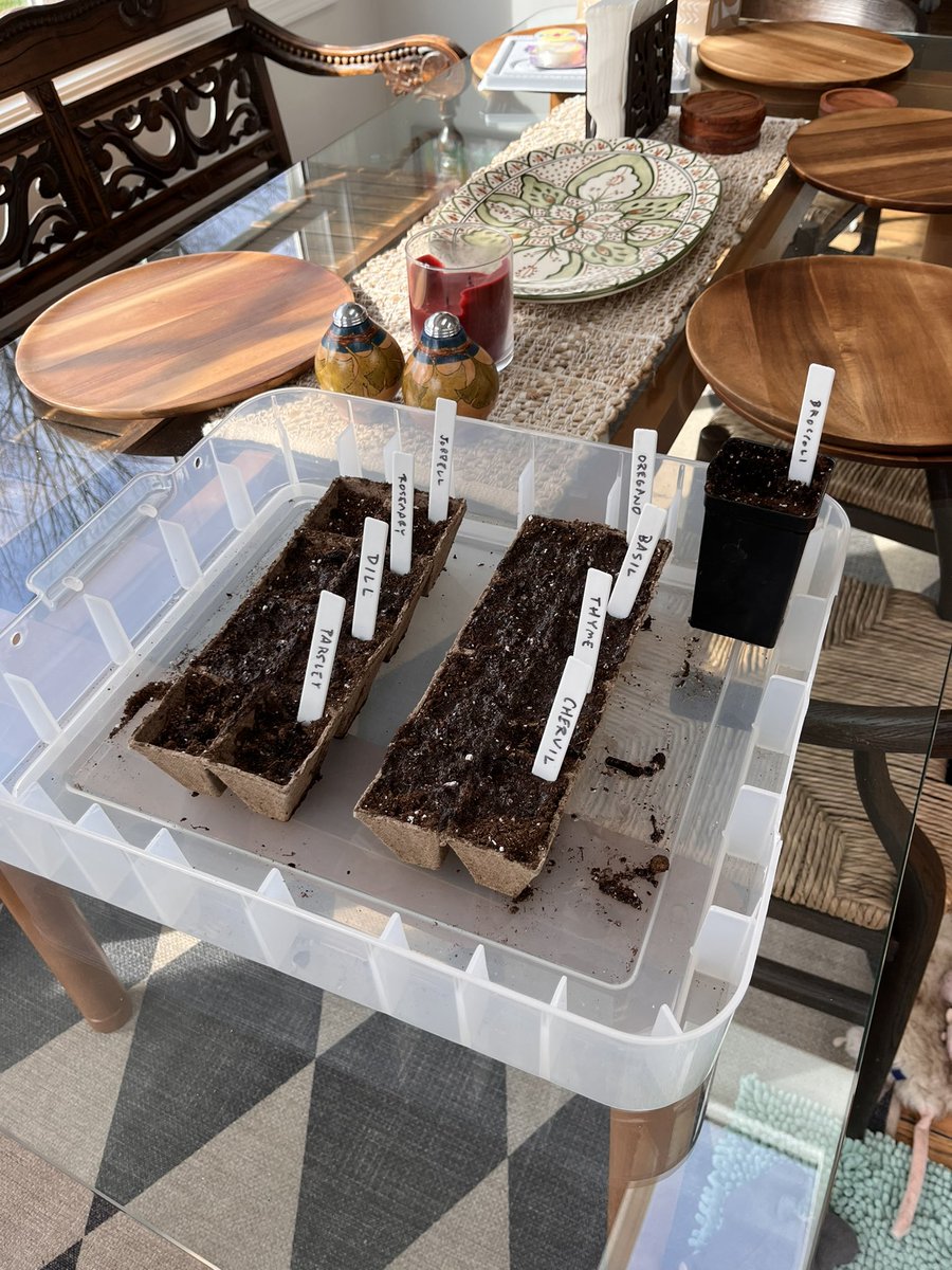 Scott Smith tweet media