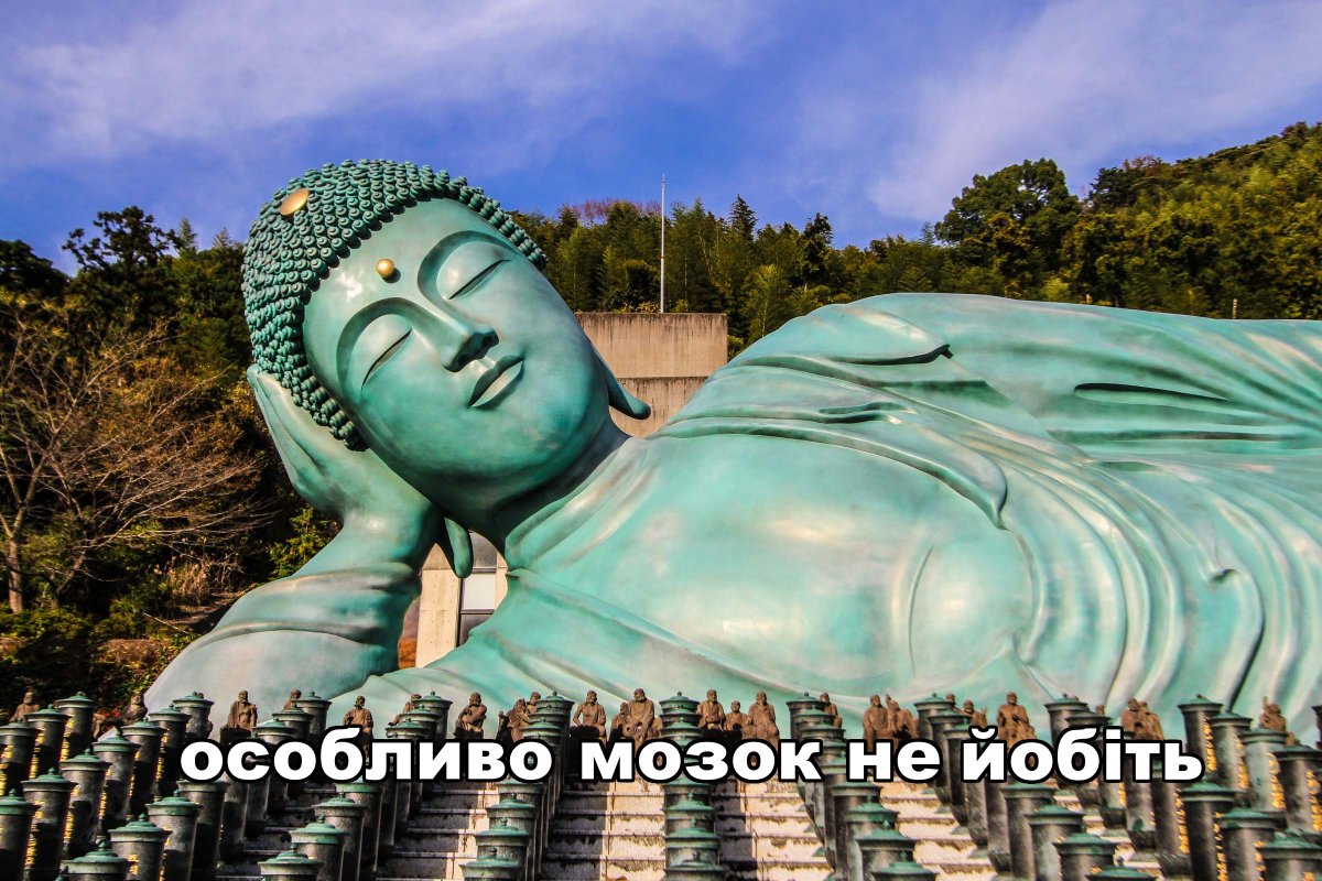 Birdy COMMISSIONS OPEN 🐤 tweet media