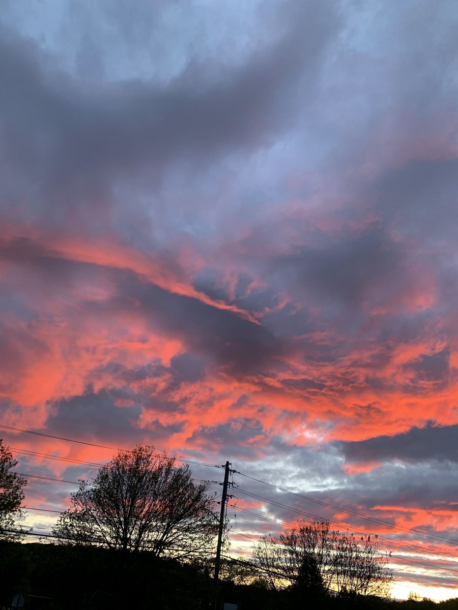 madeleine-ruth ʕ·ᴥ·ʔ tweet media