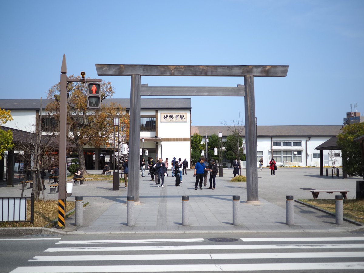 11匹の猫 tweet media