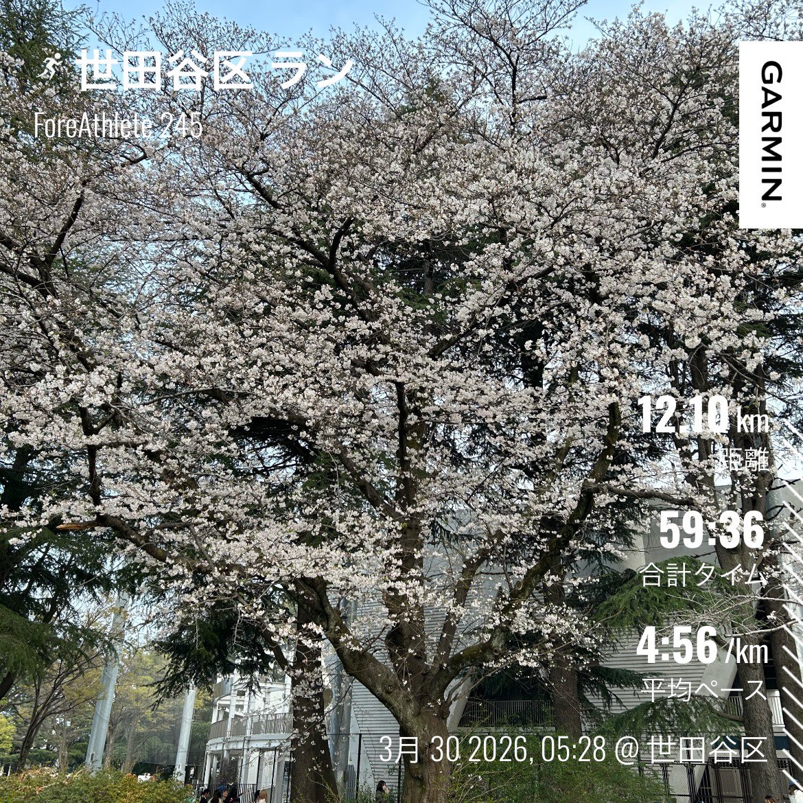 いっぽ🌸 tweet media