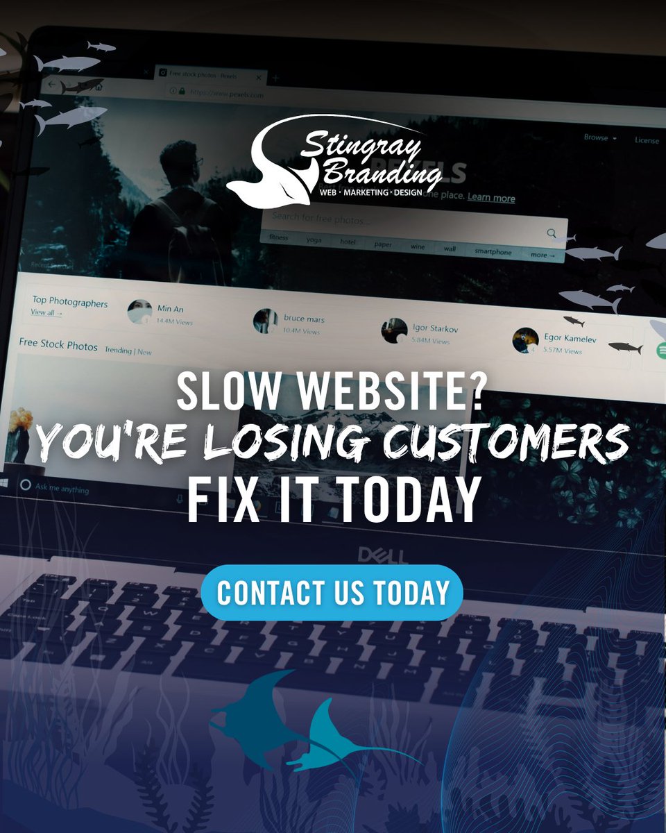 Stingray Branding tweet media