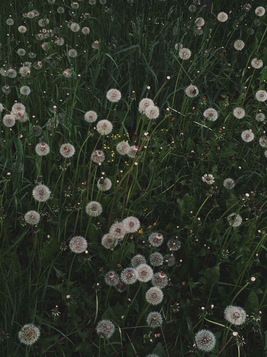 печальный демон tweet media