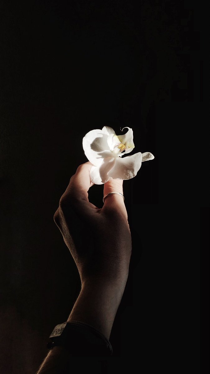 печальный демон tweet media