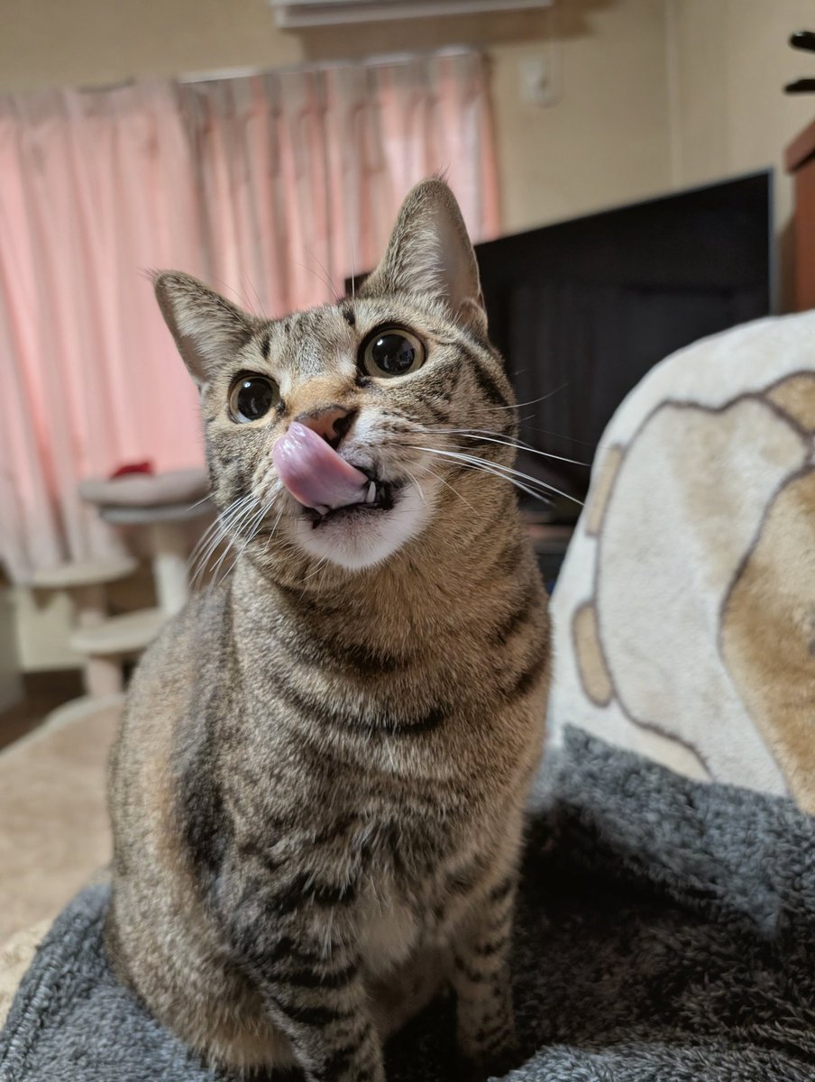 ゆな🧡 tweet media