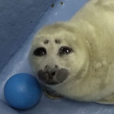 Ally 🦇 tweet media