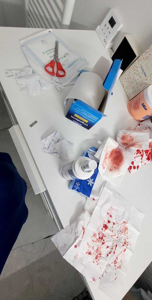 𝚛𝚎𝚗𝚖 tweet media