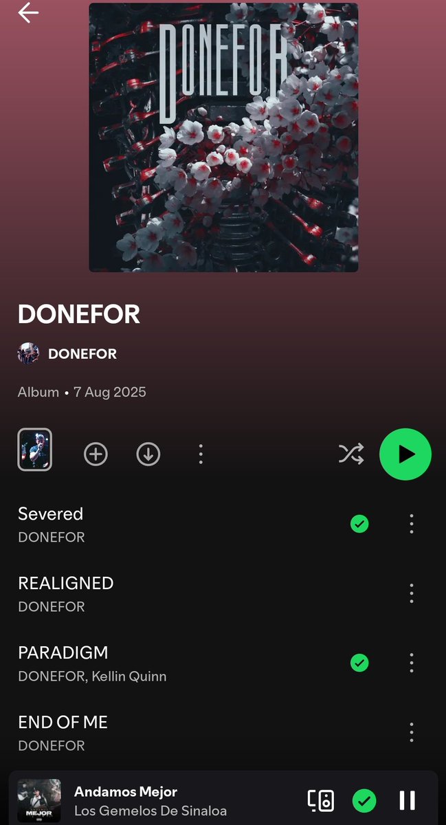 b2b WS Champs Dodgers Daisy tweet media