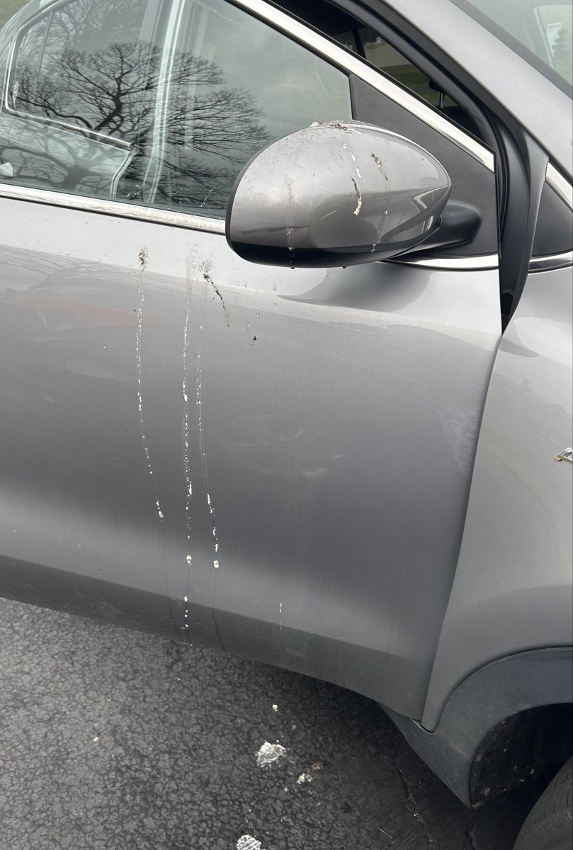 Dors 🦈 (JL) tweet media