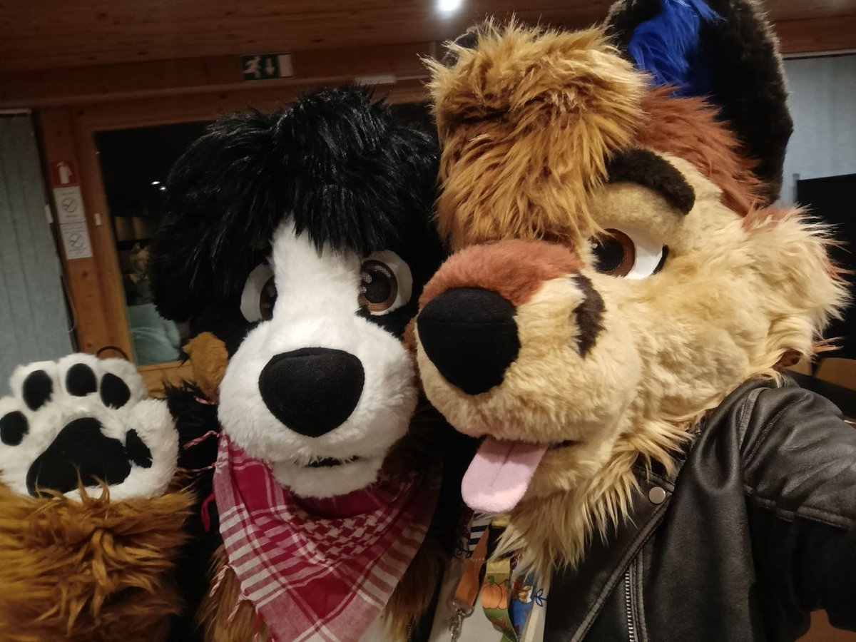 Nate Fosky 🦊🐶✨🌸🌷🌱❤️ tweet media