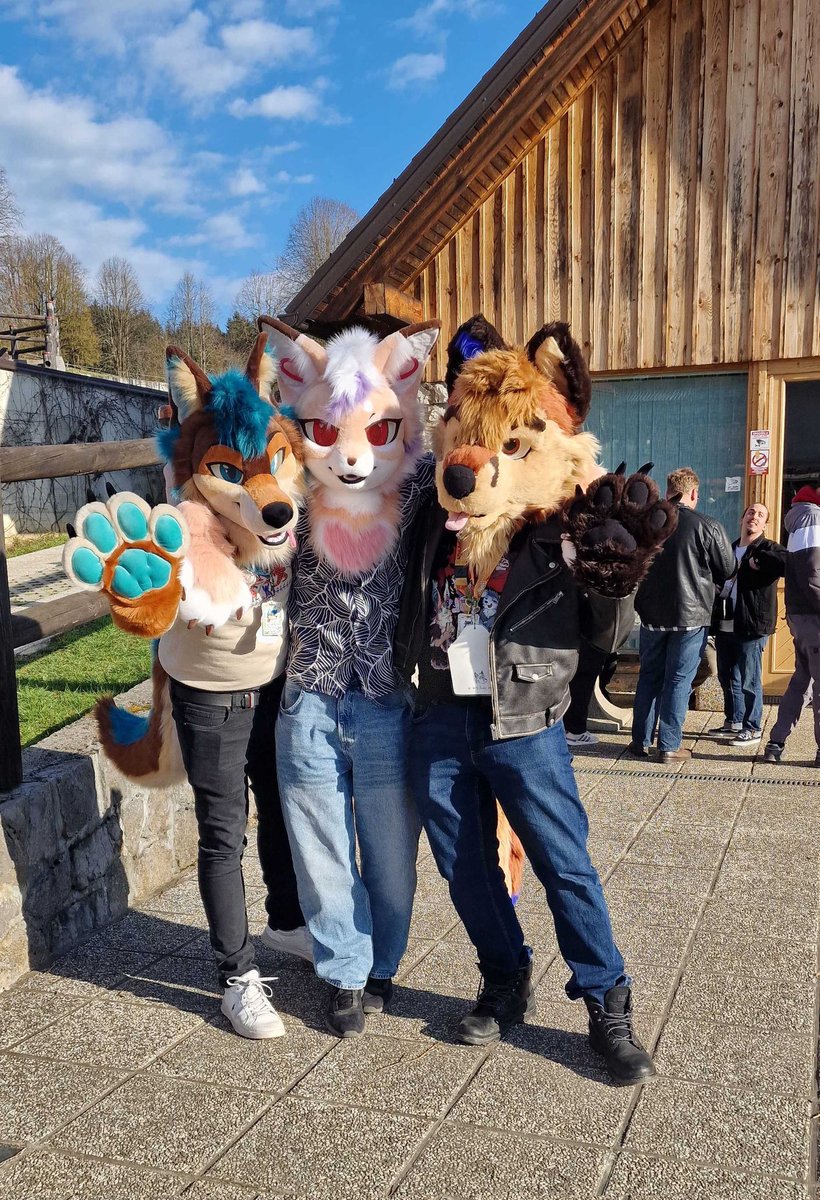 Nate Fosky 🦊🐶✨🌸🌷🌱❤️ tweet media