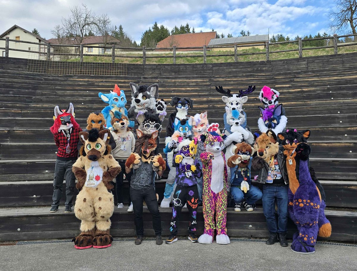 Nate Fosky 🦊🐶✨🌸🌷🌱❤️ tweet media