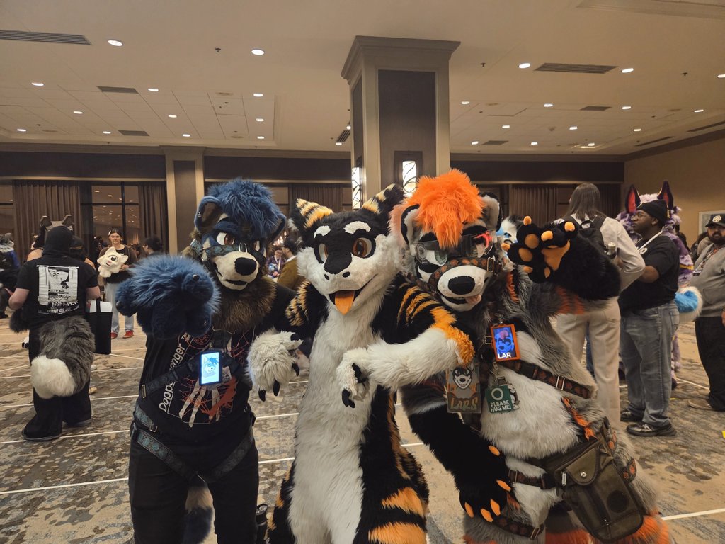 Lars 🔜 TFF tweet media