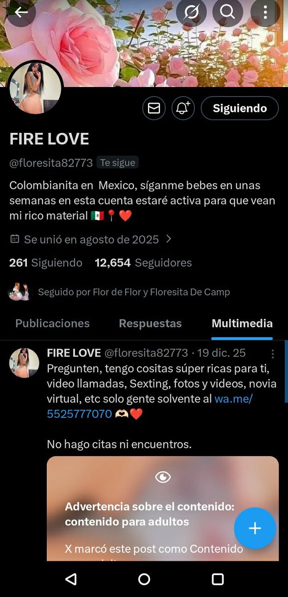 Fuego Flor tweet media