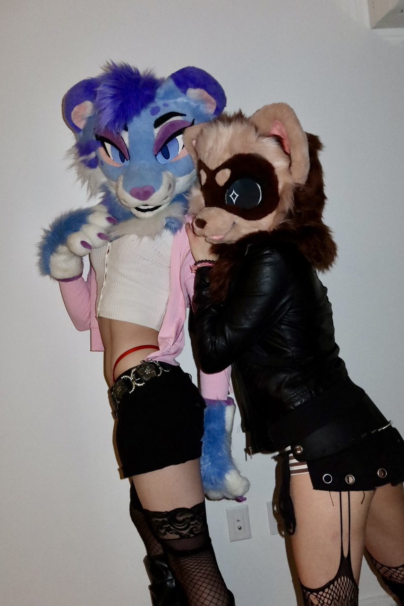 Kivvy Cat! tweet media