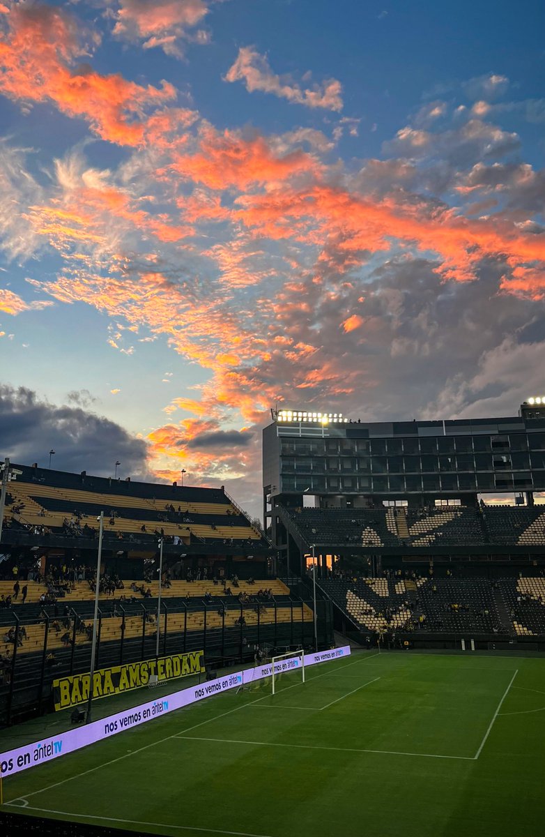 𝟙𝟠𝟡𝟙 tweet media