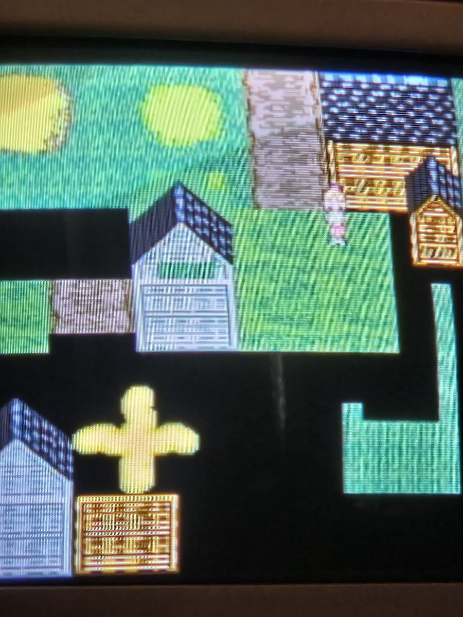 Alexander Ross tweet media