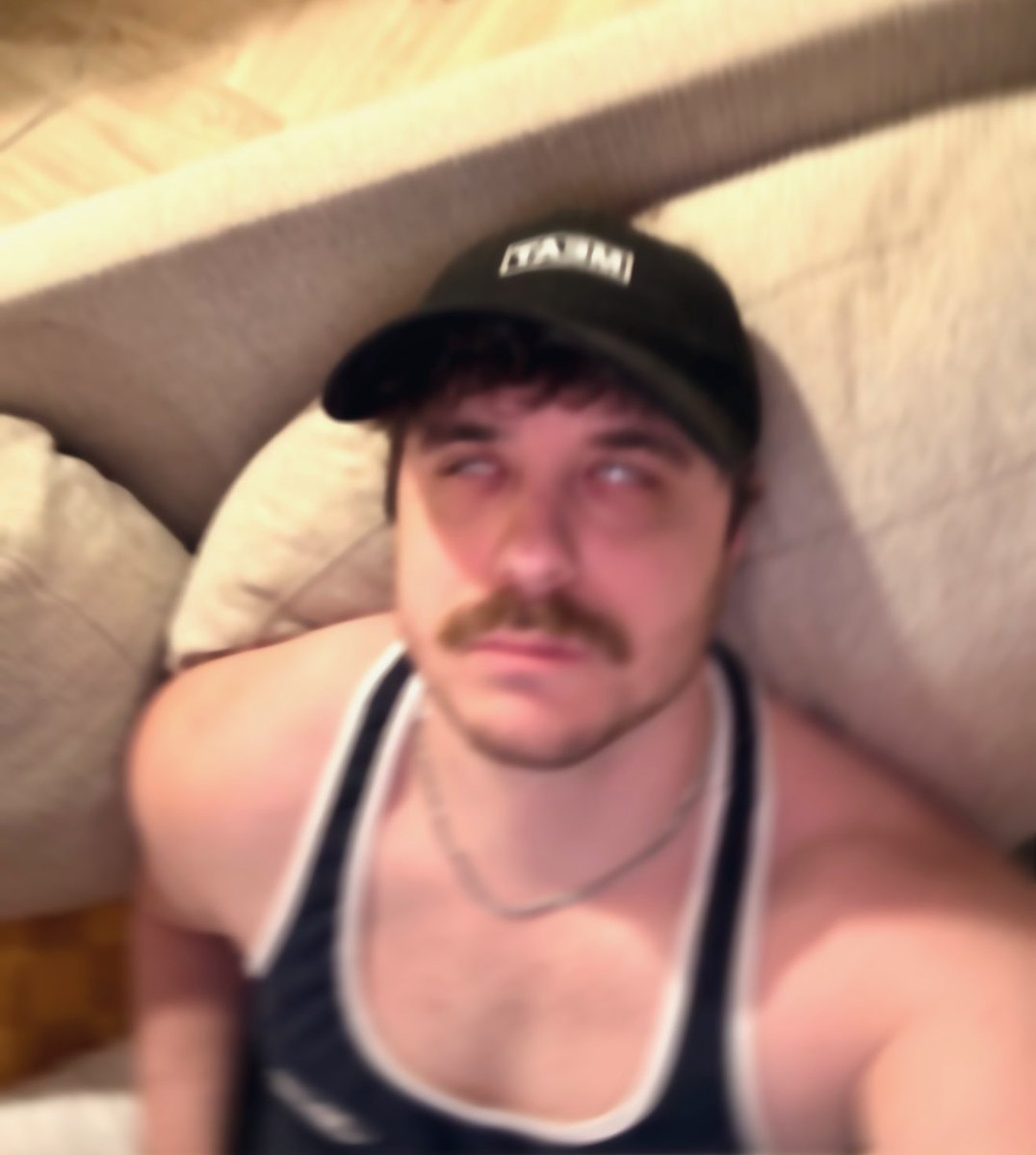 Dallycat tweet media